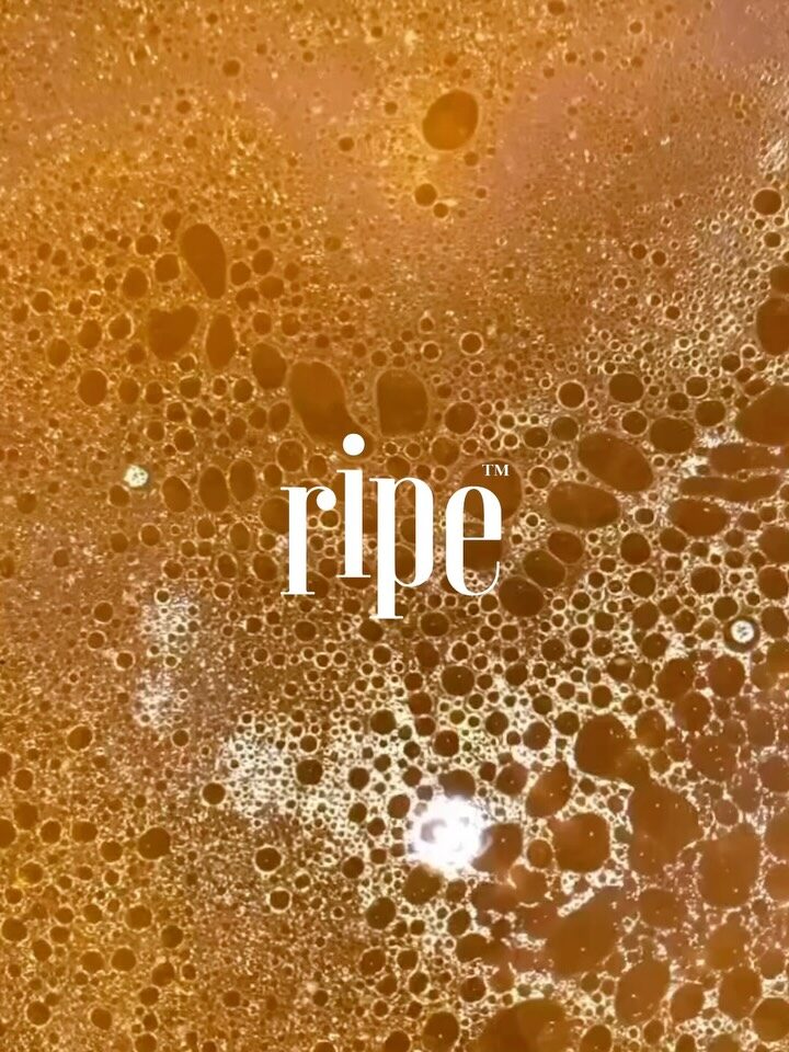Golden bone broth surface bubbles with the RIPE wordmark
